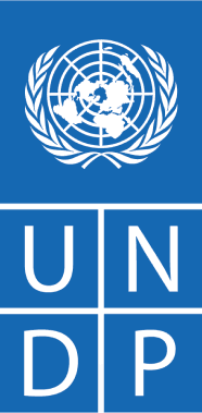 UNDP logo